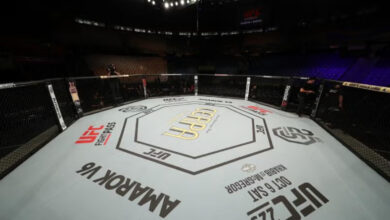 Empty UFC Octagon
