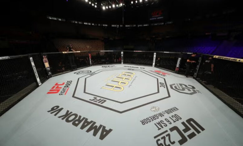 Empty UFC Octagon