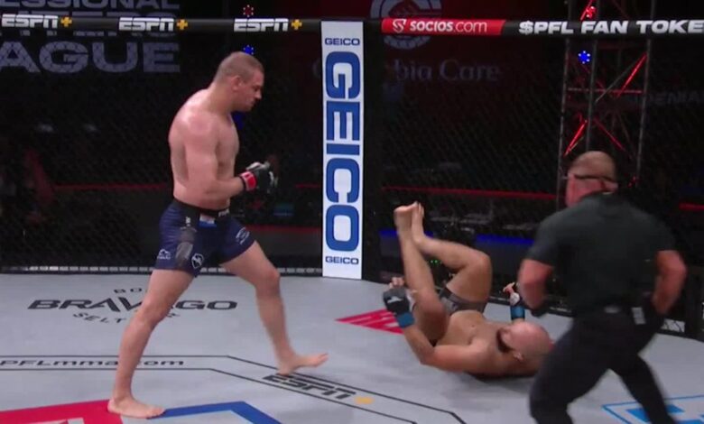 Ante Delija, UFC, PFL, MMA