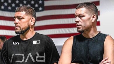 Nick Diaz, Nate Diaz, UFC