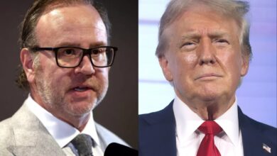 Donn Davis, Donald Trump, PFL, UFC