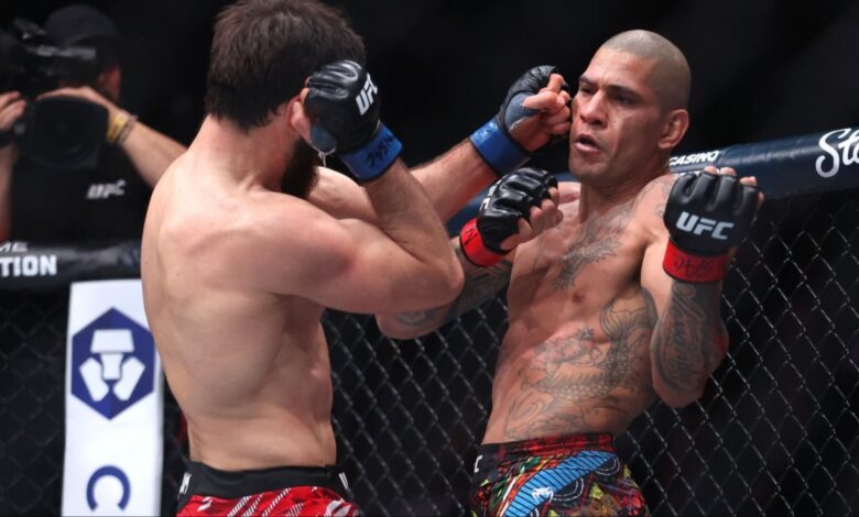 Alex Pereira, UFC 313