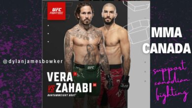 Aiemann Zahabi
