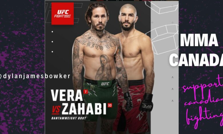 Aiemann Zahabi