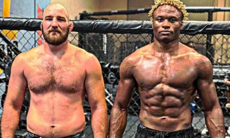 UFC 320
