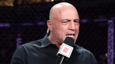 Joe Rogan UFC commentator