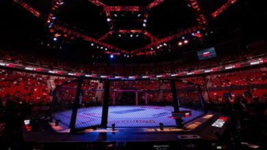 UFC Fight Night Octagon