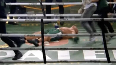 Wanderlei Silva knocked out