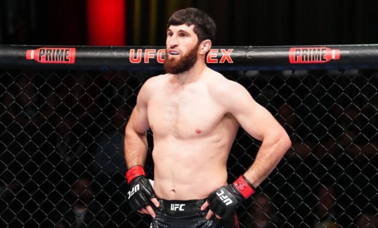 Magomed Ankalaev