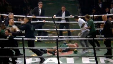 Wanderlei Silva, UFC, KO, PRIDE