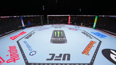 UFC Empty Octagon