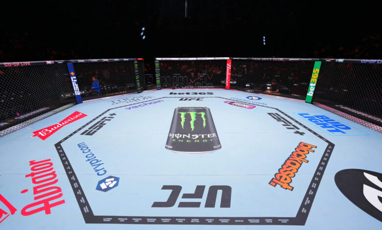 UFC Empty Octagon