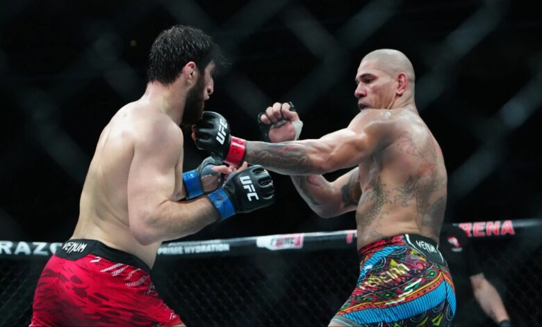 Magomed Ankalaev, Alex Pereira