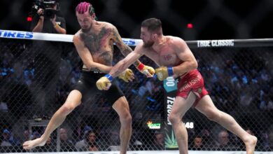 Merab Dvalishvili, Sean O'Malley