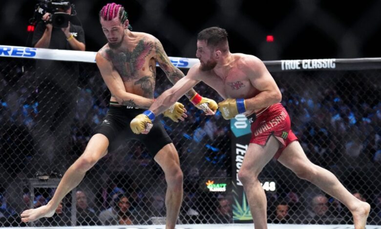 Merab Dvalishvili, Sean O'Malley