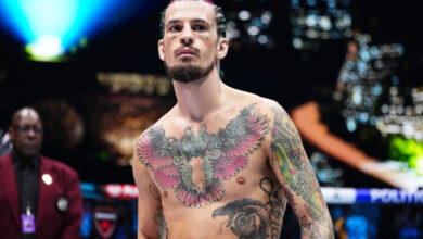 Sean O'Malley UFC fighter introduction