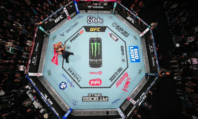 UFC Octagon view