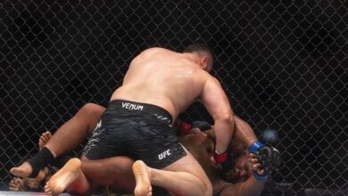 Hamdy Abdelwahab, UFC 321