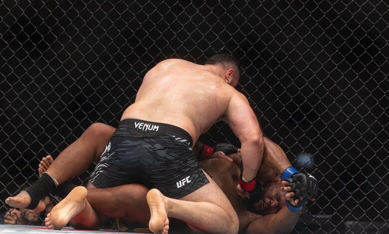 Hamdy Abdelwahab, UFC 321