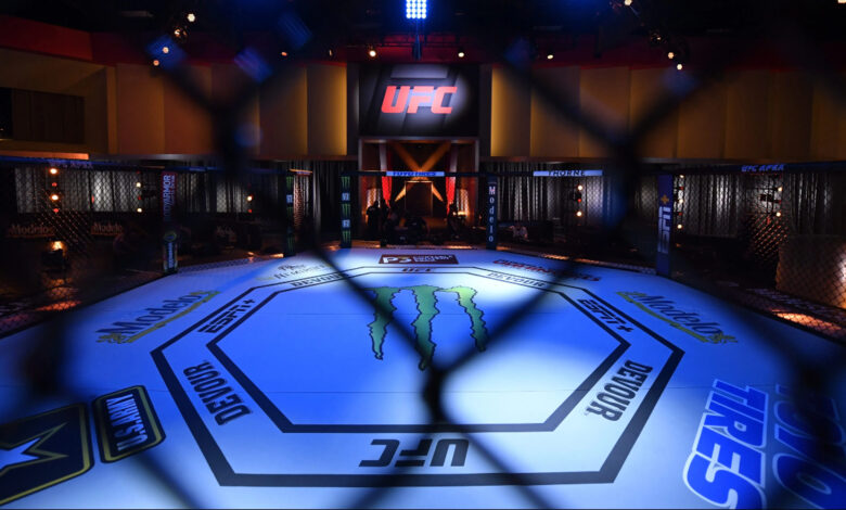 UFC Octagon Empty