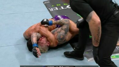 Arman Tsarukyan, Dan Hooker, UFC Qatar, Results, UFC