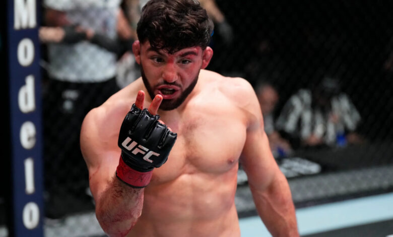 Arman Tsarukyan UFC fight