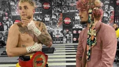 Sean O'Malley, Jake Paul, Boxing, UFC