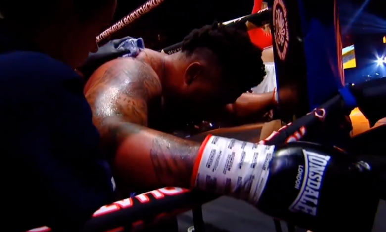 Greg Hardy, UFC, NFL