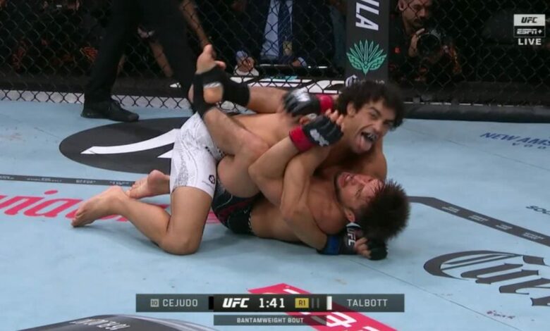 Payton Talbott, Henry Cejudo, UFC 323, Results, UFC